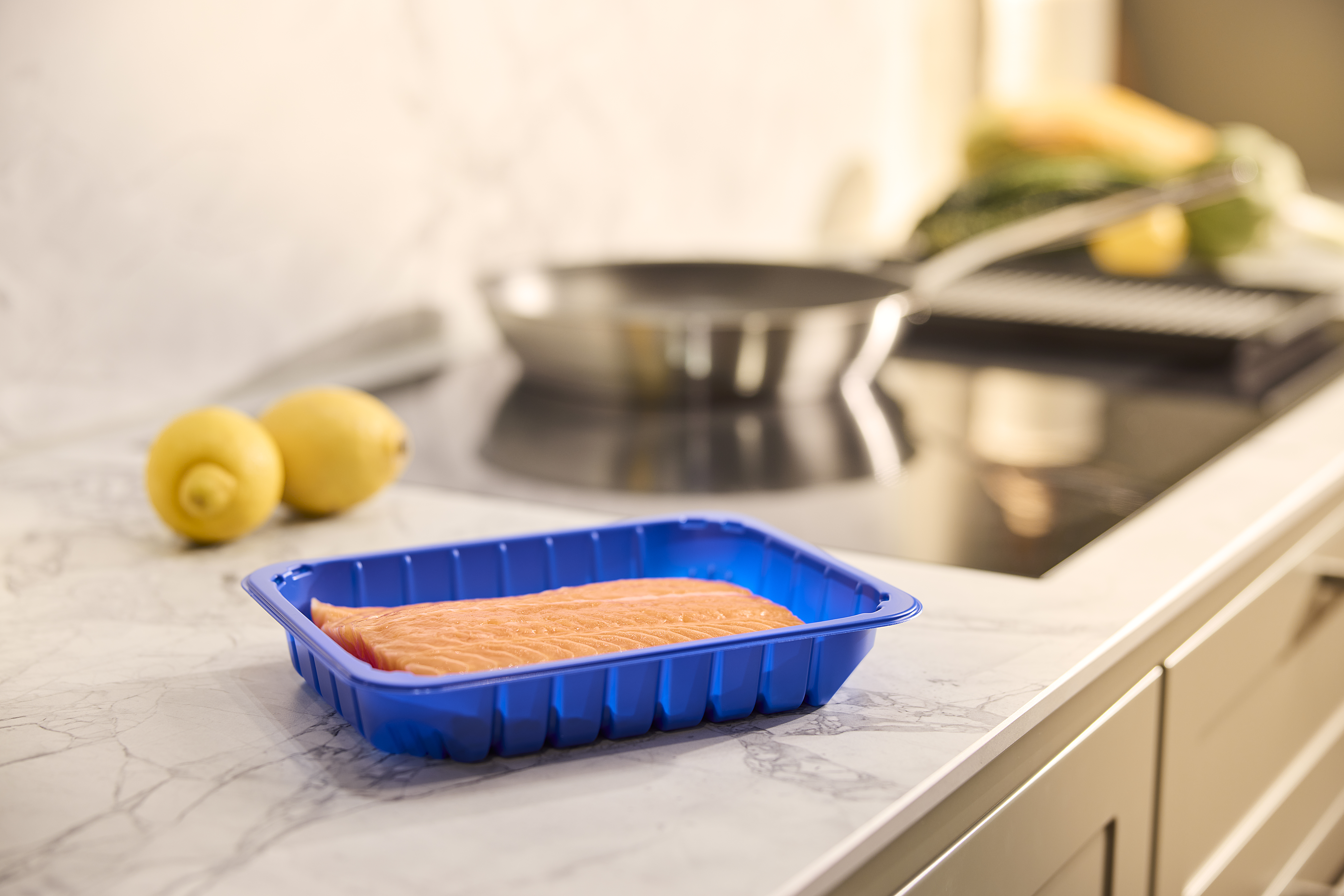 APET_Mapet_Blue_Fish_Kitchen (1)