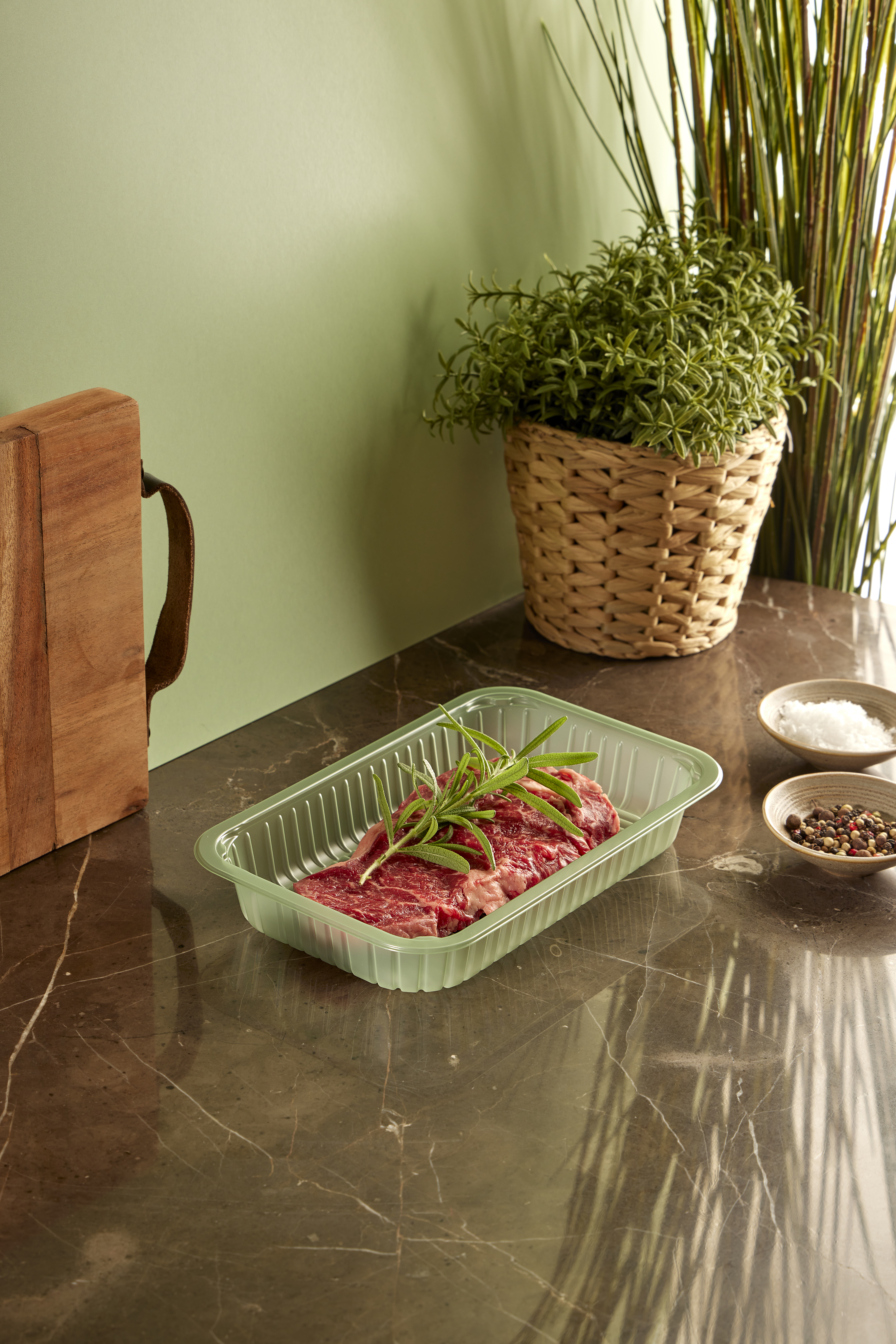 APET_Evolve_Steak_Studio (2)