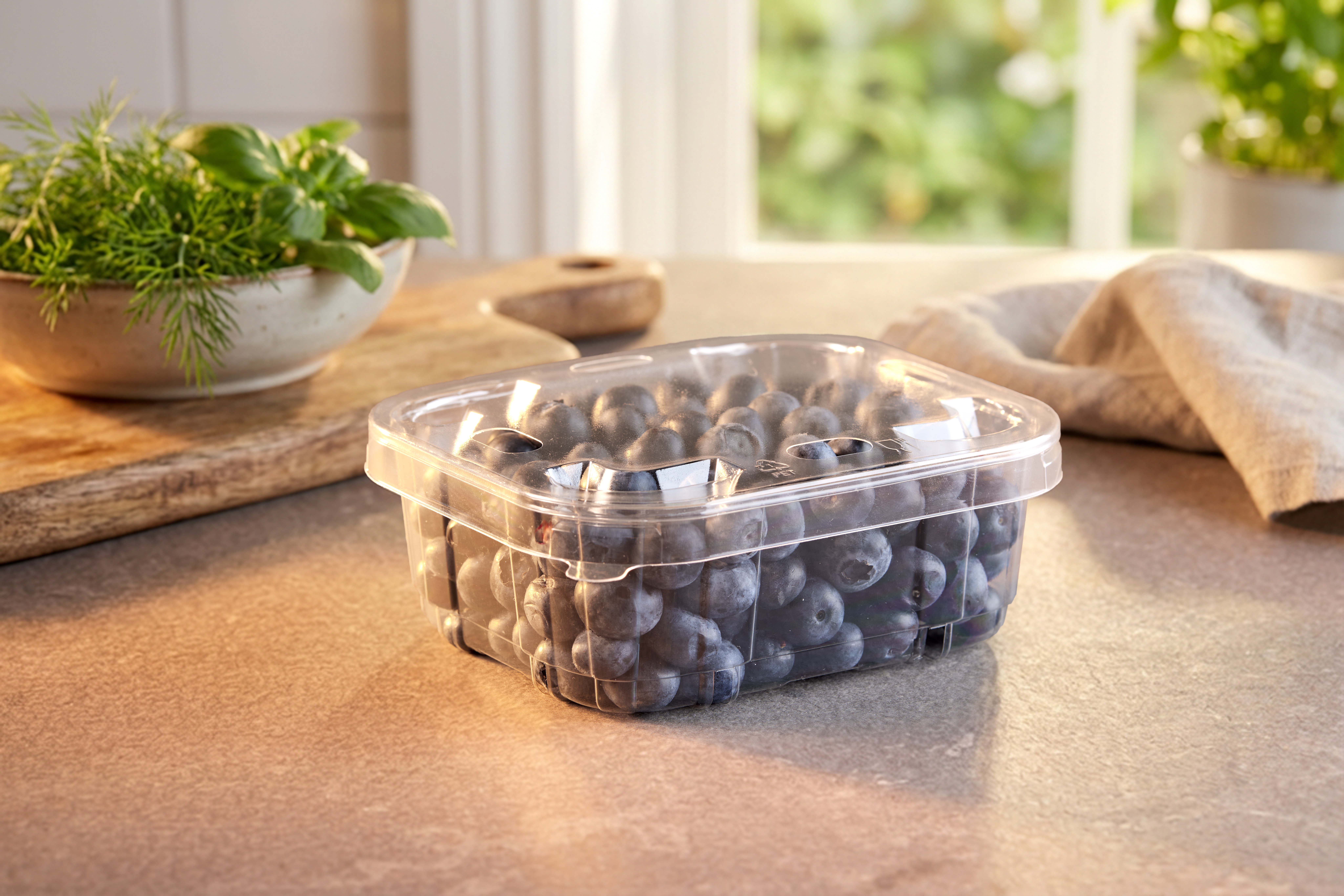 APET_Transparent_Blueberry_Fresh_ fruit(7)