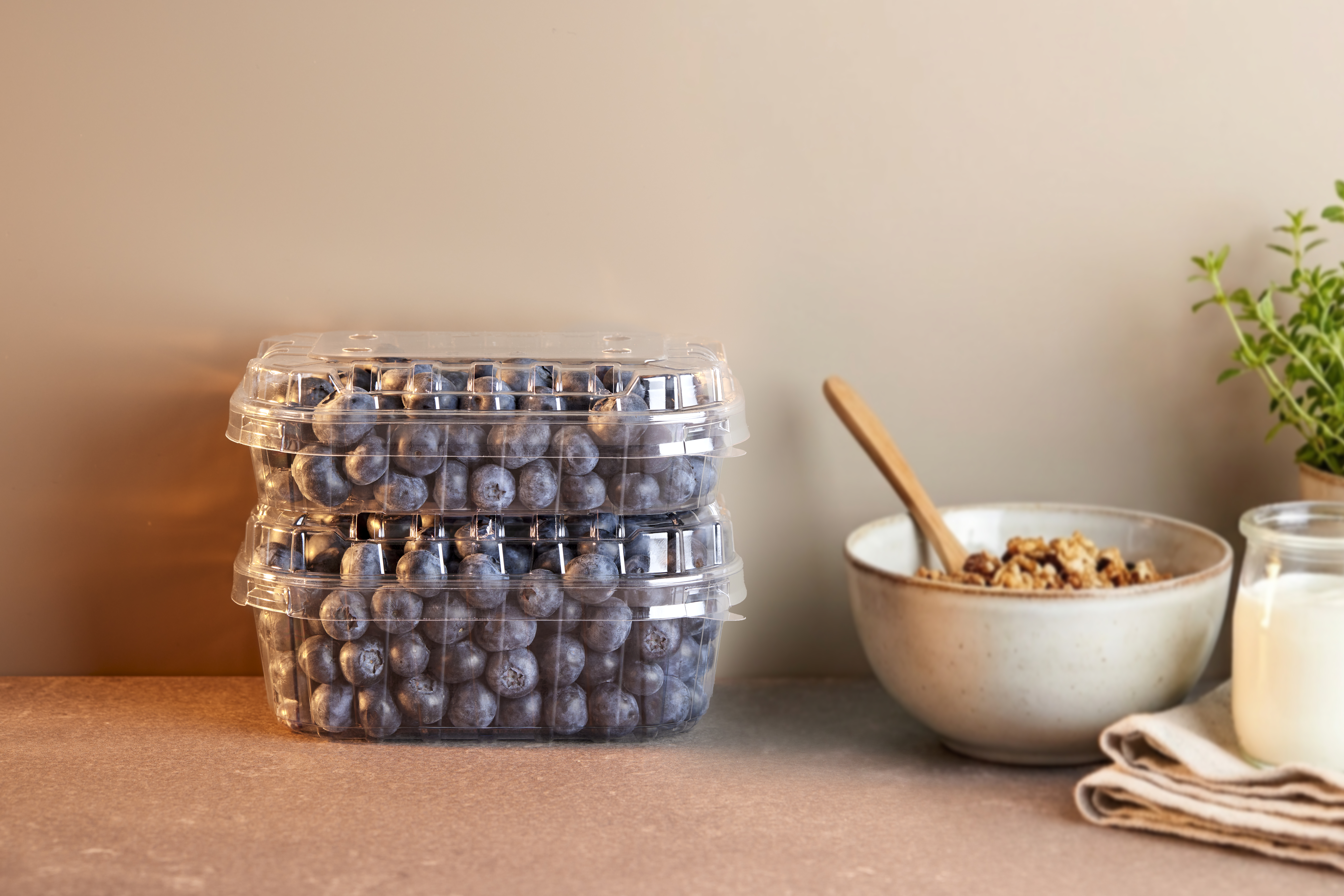 APET_Transparent_Blueberry_Fresh_ fruit(13)