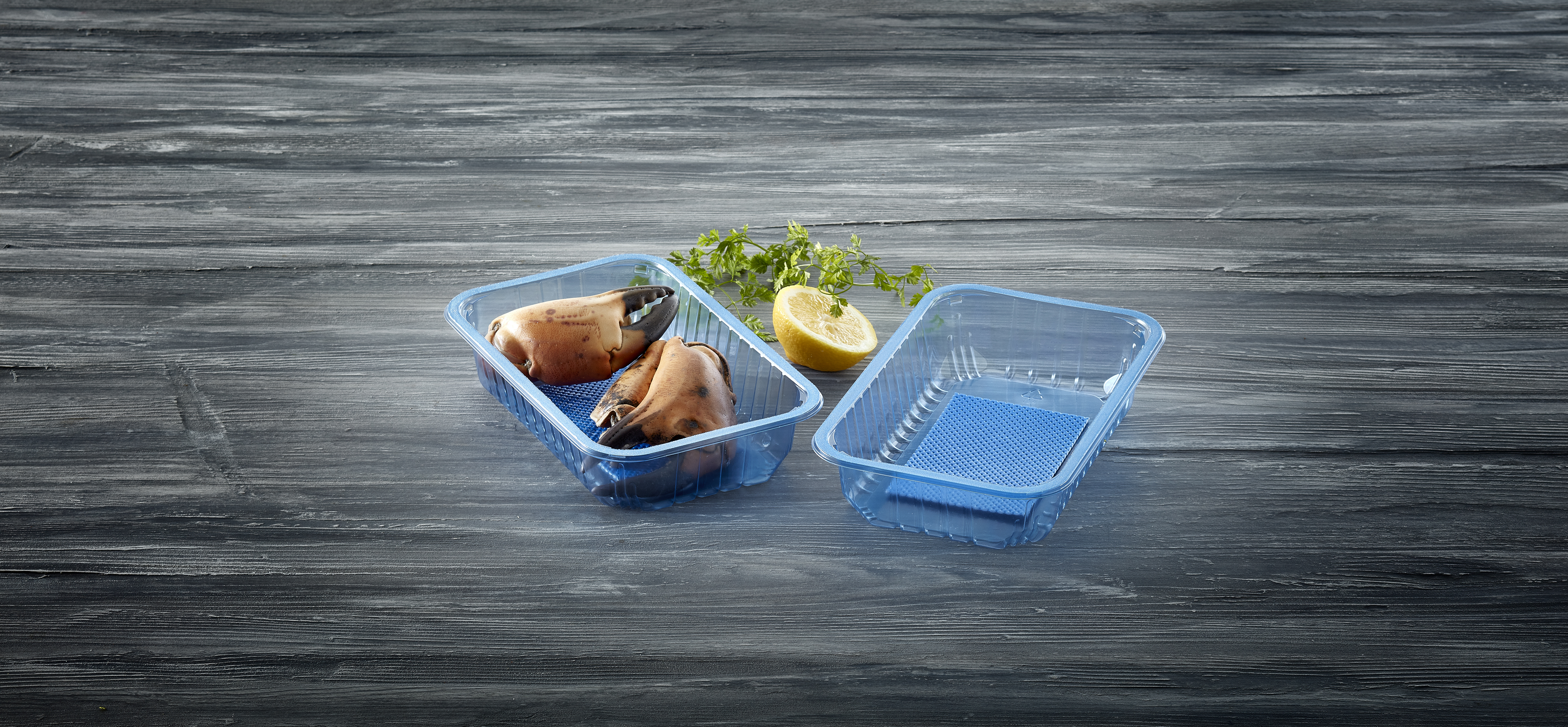 Transparent blue absorber pad tray with fish