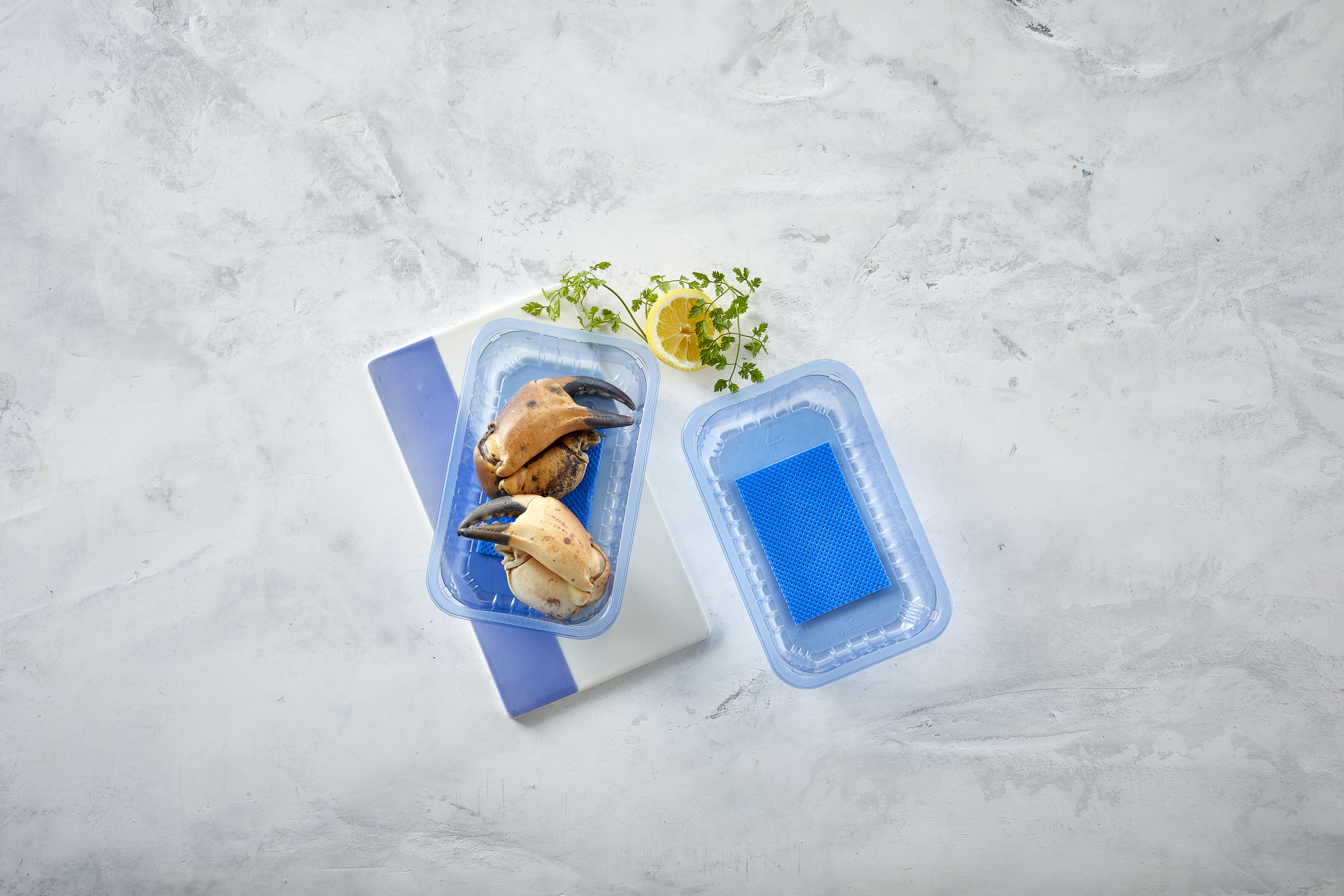 Transparent blue absorber pad tray with fish